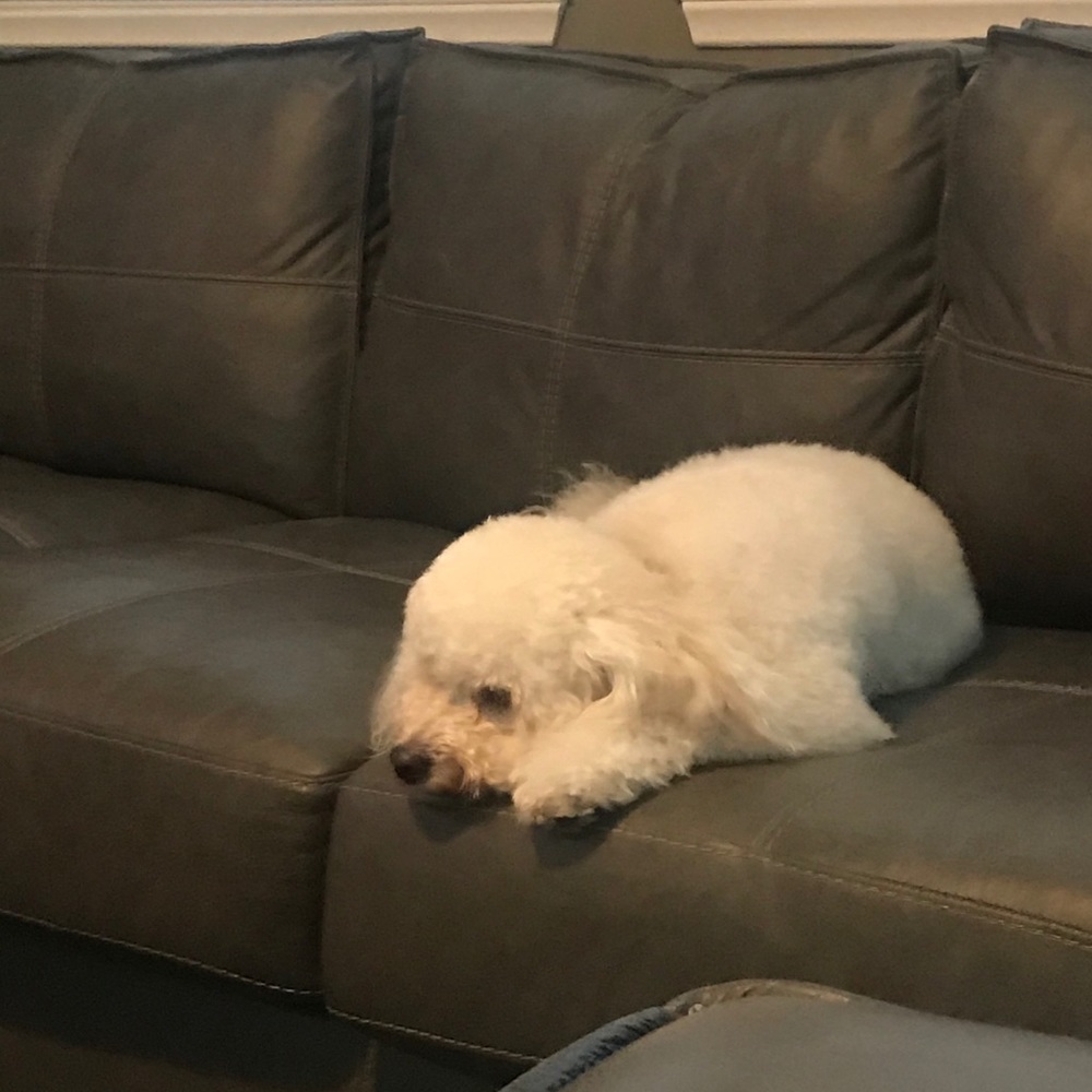 Meet your Posher, Brooke